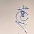 Signature Of Nenshi Little Writing Signature Short Trending Video