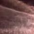 SpaceX Starship Rocket Explodes In Mid Flight