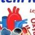 Circulatory System Rap Pump It Up