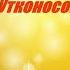 Один рабочий день заведующей детского сада Клипмэйкер Юрий Арнаут