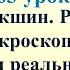 63 урок 3 четверть 6 класс Шукшин Микроскоп Мечта и реальность