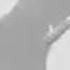 Adolf Hitler Was Ist Dein Lieblingsfach AI Cover
