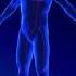 Anxiety And Nausea Nervous System