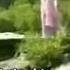 逍遥