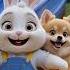 Haru Played With A Puppy Today Haru Bunny Pomeranian Little Friends Story Friendship