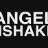 D ANGELO UNSHAKEN LYRICS