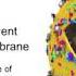 Scalable Molecular Visualization And Analysis Tools In VMD ǀ John Stone UIUC