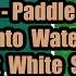 Stand Up Paddleboarder Und Weiße Haie