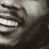 Bob Marley Soul Shakedown Party