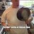 Linguine Vongole The Vivaldi Way