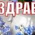 Прикольное поздравление С Днем Доброты всемирный день доброты видео поздравление с днем доброты