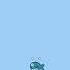 Ani WP THENEW Fly A Whale CNPAPER