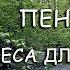 Забыть о проблемах поможет пение соловья и журчание лесного ручья