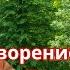 Автономия творение собственной реальности Максим Космос Project Bravo