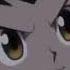 Kite Gon And Killua Vs Ants Chimera AMV CGDS Re Upload