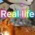 Monkart Real Life Videoclip Myvideo Foryou Youtubeshorts