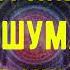 Матрица Гаряева Устранение шума в ушах Тиннитус Восстановление слуха