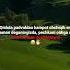 Shu Damlarni Sog Indingizmi