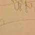 Hollyleaf Mad Hatter Complete PMV