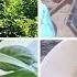 June 21 2025 Kramatorsk MORNING Even If It Flew By Past People Got Enough Sleep Dumplings