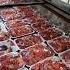 Meat Section Karaf