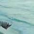 Plumb Cut Clip To Movie Big Little Lies 2017