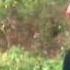 Dushman E Jaan Ko Hum Apni Jaan Bana Baithe Full Song Naagmani Sumeet Saigal Shikha Sarup