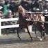 2025 Mid Ohio Trotting Sale
