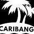 CariBang Mix 2021 11 Caribbean Dancehall Afro By ESSOVILLA