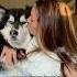 The Universe Gave Me My Husky Changed My Life Forever Husky Dogvideos
