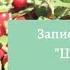 Запись онлайн семинара Школа садоводства 12 12 2020 г