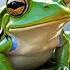 Mark Twain S Surprising Frog Story Revealed
