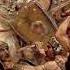 CELTIC DANCE Regressus Ad Uterum FULL EP