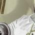 Badmashi Lyrical Ninja Desi Crew Dev Kharoud Japji Khaira New Punjabi Songs 2025
