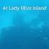 Natural Whale Song Whales Nature Relaxing