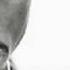 2pac Wish The Best For My Enemies