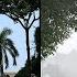 What Makes Delhi S Air So Deadly