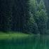 Soothing Relaxing Music For Peaceful Moments With Peaceful Birdsong