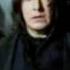 Severus Snape Memory