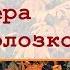 Кто такая Вера Полозкова Дмитрий Быков