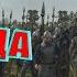 Total War Rome2 Расколотая Империя Прохождение за Каледонцев 6 Просто Победа