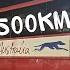 Taking A Greyhound BUS Across AUSTRALIA Alice Springs To Adelaide