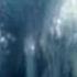 Lothlorien Lord Of The Rings
