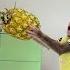 Monkey Kyo S Smart Move To Get Dad S Help You Won T Believe The Result