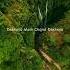 Dekheya Main Chand Dekheya Short Video Haareya Song Lyrics Video Lo Fi Slowed Reverb Shorts