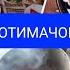 Машав гамгин агар духтар бизоди Ки бо духтар бувад пайваста шоди