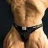 Nick Changed His Stance Logan Can Be Top 3 Ripped Blessing Dangerous Joan Regan S Best