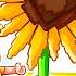 Starting Over BROKE With A SUNFLOWER ONLY Garden In Roblox Grow A Garden
