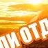 А где зимует лето