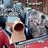 CAT MEMES Going To A Theme Park With My Boyfriend Catmemes Relatable Relationship